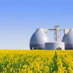 The Pros and Cons of Biogas in detail