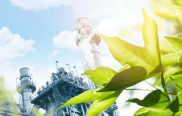 Where is natural gas found?