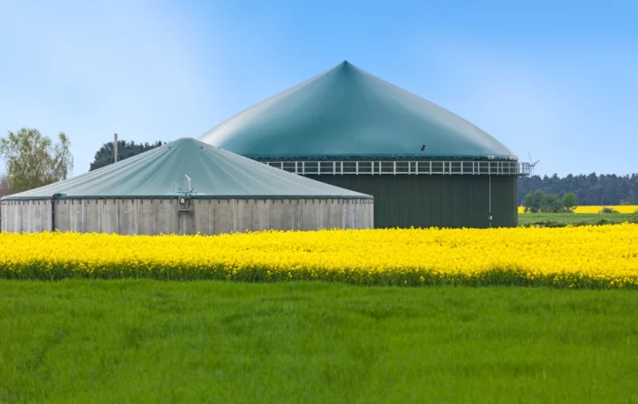 Biogas – Produktion, Potenzial und Perspektiven für eine nachhaltige Energiezukunft